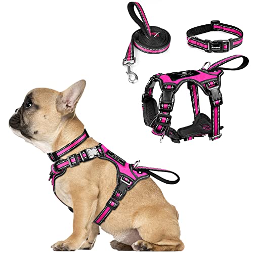 WINSEE Pet Harness Collar and Leash Set, All-in-one Reflective Dog Harness No Pull with Adjustable Buckles for Puppies, Small, Medium, Large, and Extra-Large Dogs (Small, Rosy) - color: Rosy, size: Small