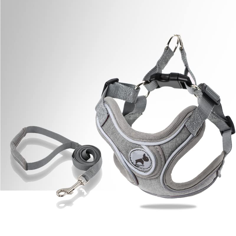 Dog Harness with Leash Set, No Pull Adjustable Step in Pet Vest - color: Gray, size: S