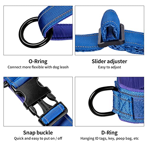 Annchwool No Pull Dog Harness with Padded Handle+5 Ft Leash(Blue-Set,S) - color: Blue Set, size: S