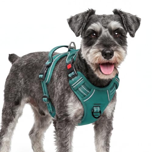 HEELE Dog Harness, Soft Padded, Front Clip Vest with Control Handle Grass S - color: Lock Grass Green, size: S (Pack of 1)