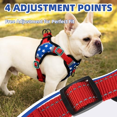 PUPTECK Dog Harness Small Sized Dog, Step in Adjustable Reflective Dog Vest Harness Escape Proof, No Pull Soft Padded Harness Easy Control, Star, M - color: Blue(Stars), size: M (CHEST: 14.5"-20")