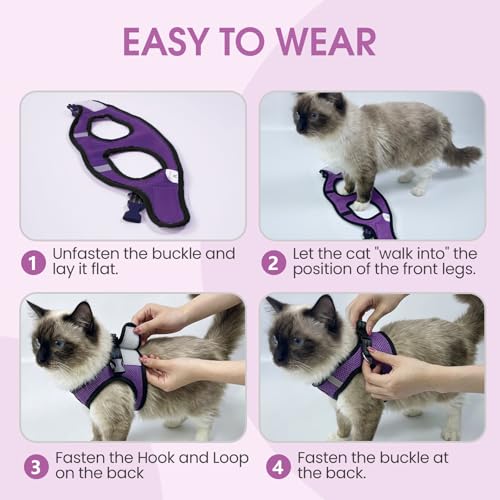 Heywean Cat Harness and Leash Escape Proof, Soft Breathable Mesh Kitty Walking Vest, Adjustable Step-in Kitten Harness Set with Reflective Strip for Small Cats - color: Purple, size: Small