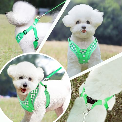 Dog Harness with Leash Set, No Pull Adjustable Step in Pet Vest - color: Green (denim), size: S