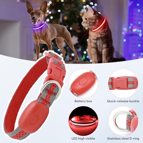 Flashseen LED Dog Collar, Light Up Dog Collar USB Rechargeable, Red, XS - color: Red, size: X-Small