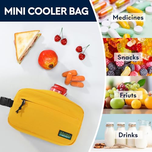 Haimont Small Freezable Snack Cooler Bag, Reusable Freezable Mini Cooler Bag for Outdoor, Airplane, Travel, Wear Resistant, Yellow - color: Yellow