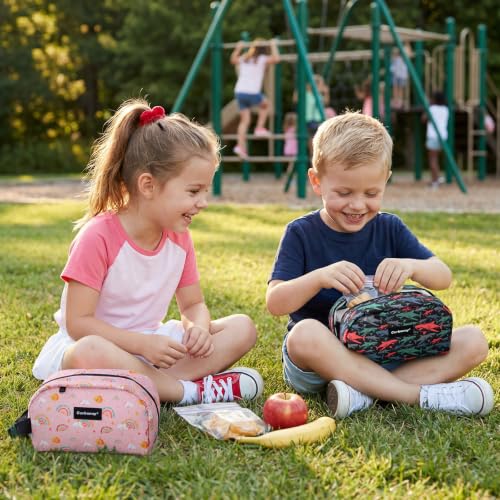 Cerbonny Small Cooler Bag,Freezable Lunch Bag,Built-in ice pack - color: Pink-Rainbow