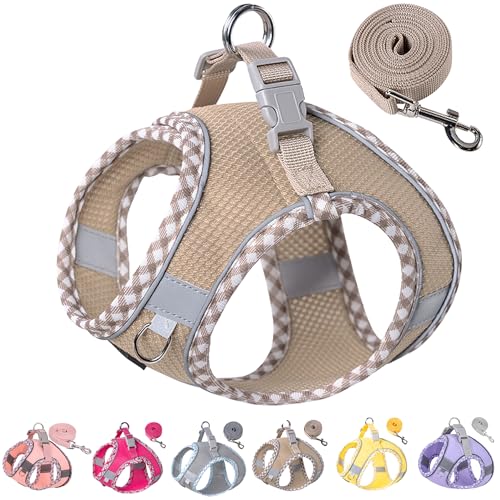 Petank Step in Dog Harness No Pull and Leash for Small Medium Dogs Cats. - color: Brown, size: XXS