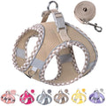 Petank Step in Dog Harness No Pull and Leash for Small Medium Dogs Cats. - color: Brown, size: XXS