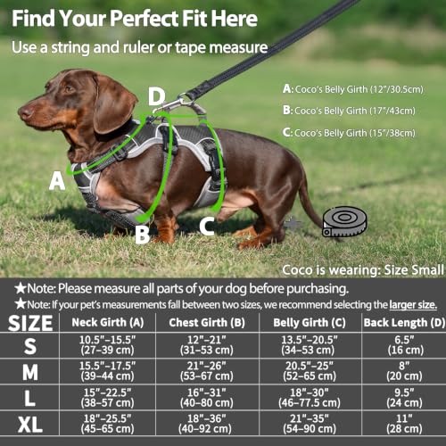 Huntboo Escape Proof Dog Harness, Dachshund Harness, Reflective Dog Harness with Handle, Durable,Adjustable Vest for Small Medium Large Dogs Walking, Training, and Running Gear (Black,M) - color: Black, size: Medium(Pack of 1)
