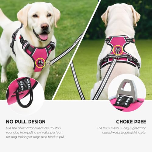HEELE Dog Harness, Neck Release, No Pull Front Clip Vest, Fuchsia, S - color: Lock Fuchsia, size: S (Pack of 1)