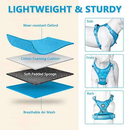 PoyPet No Pull Dog Harness, Reflective Vest with 2 Leash Clips & Handle - color: Blue(Matching Trim), size: S