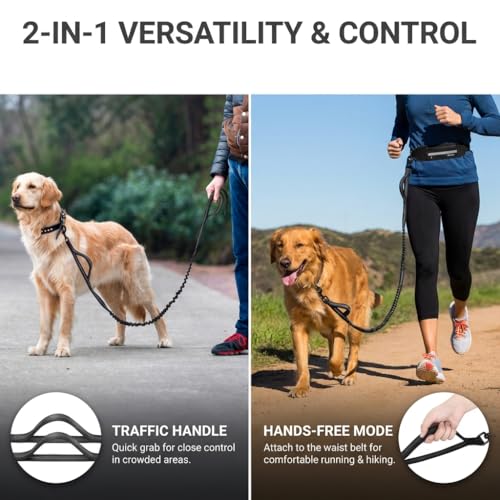 Hands Free Dog Leash with Waist Pouch, Reflective Bungee, Dogs Up to 100 lb - color: Black
