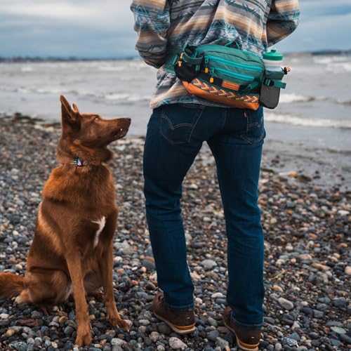 Wilderdog Mega Hip Pack with 3-Liter Capacity, Two Mesh Water Bottle Pockets, Interior Key Loops, Adjustable Straps, and Poop Bag Dispenser (Pacific Blue) - color: Pacific Blue