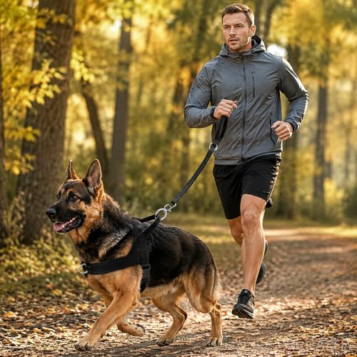 No Pull Dog Harness Heavy Duty Reflective Adjustable Padded Pet Vest for Medium Large Dogs Walking Training Running(L) - size: L