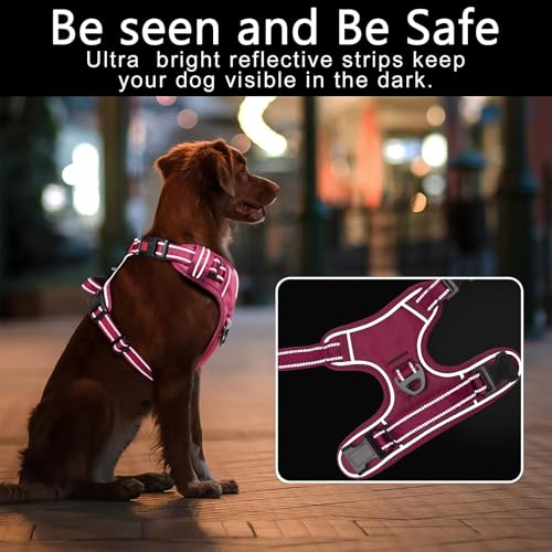 HEELE Dog Harness, Neck Release, No Pull Front Clip Vest, Reflective Rosy S - color: Lock Rosy, size: S (Pack of 1)