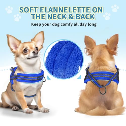Lukovee Small Dog Harness and Leash Set, No Pull Soft Padded, 4ft Leash,XXS - color: Blue, size: XXS ( Chest 11.5'' ~ 15'')