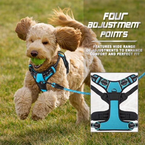 BARKBAY Dog Harness No Pull for Small Sized Dog Front Back Clips,Dog Vest - color: Blue, size: X-Small(Chest:15.5-19.5”)
