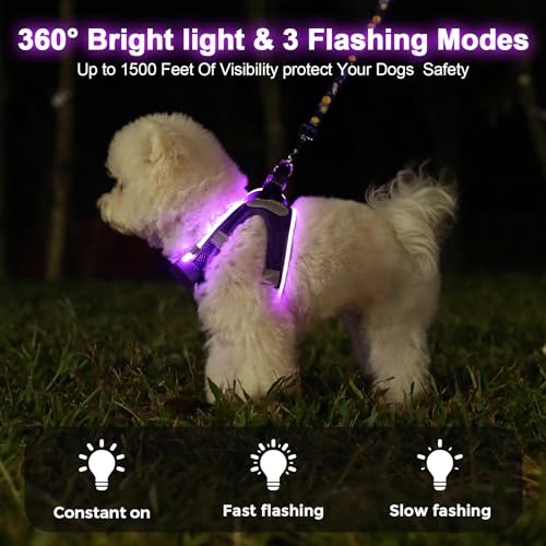 Light Up Dog Harness,Rechargeable LED Dog Harness for Small Medium Dogs - color: Purple, size: S