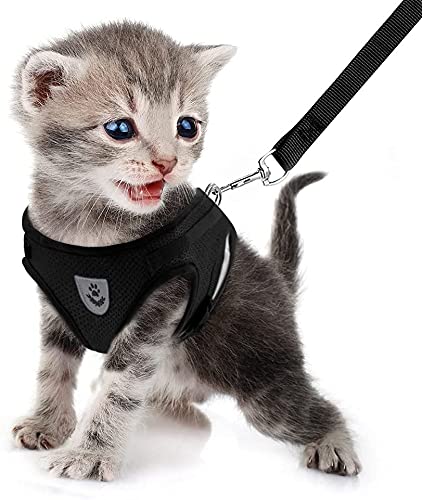 FEimaX Dog Harness and Leash Set for Walking, Soft Mesh Adjustable Easy Control Lightweight Cat Vest Harnesses with Reflective Strips, Escape Proof Small Dogs Cats Vests (Black, X-Small) - color: Black, size: X-Small