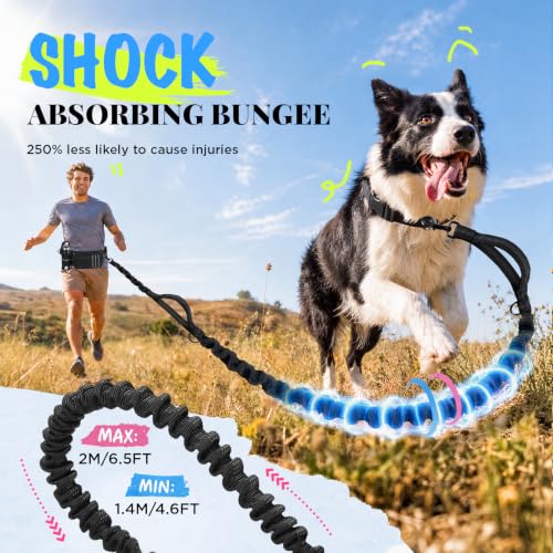 Hands Free Running Dog Leash with Storage Waist Belt, Shock-Absorbing Bungee Lead, Water Bottle Holder & Dual Handles for Walking, Hiking & Training Medium Large Dogs