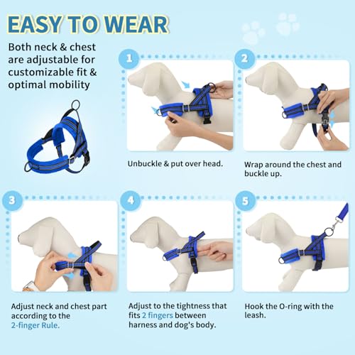 Lukovee Small Dog Harness and Leash Set, No Pull Soft Padded, 4ft Leash, M - color: Blue, size: M ( Chest 19.7'' ~ 29.1'')