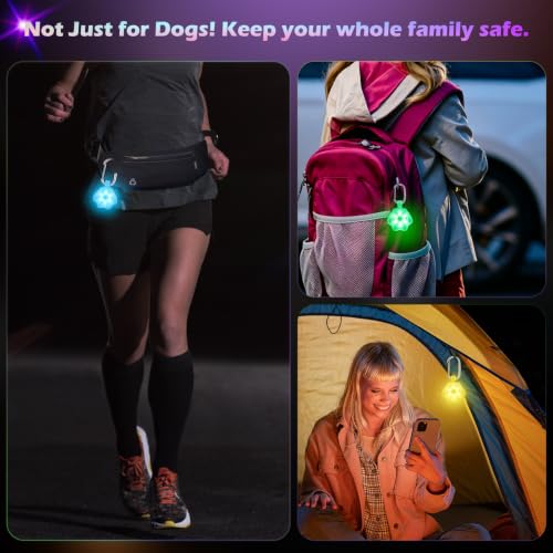 NOVKIN 2 Pack LED Dog Collar Light, 7-Color Changing USB Rechargeable Dog Night Lights for Walking, Waterproof High Visibility Clip on Safety Light for Dog Collars, Harnesses & Leashes