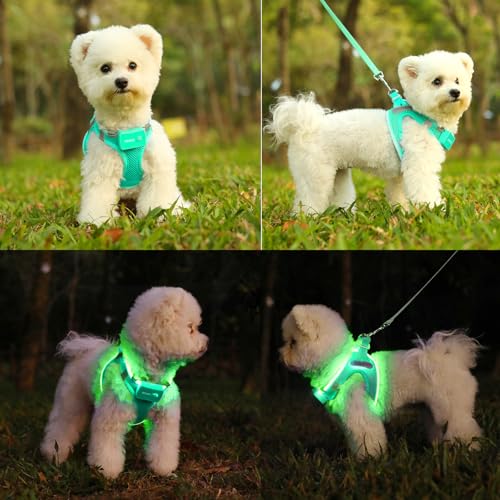 Light Up Dog Harness, Rechargeable LED Dog Harness for Small Medium Dogs - color: Light Green, size: S