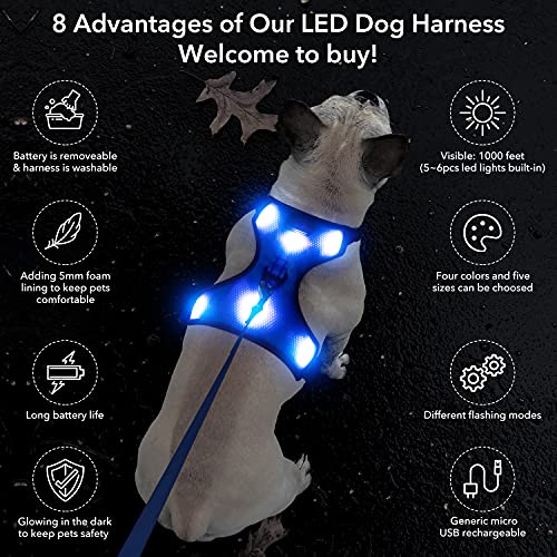 YFbrite Light Up Dog Harness - USB Rechargeable LED, Reflective, Comfortable Adjustable With Different Sizes (Blue, Small)