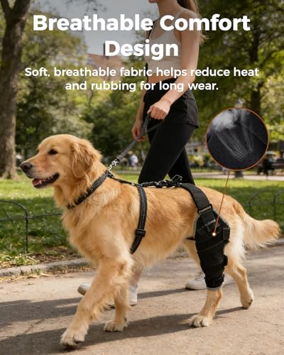 Dog Knee Brace for ACL/CCL with Hot & Cold Gel Pack, Left Leg-M - size: M