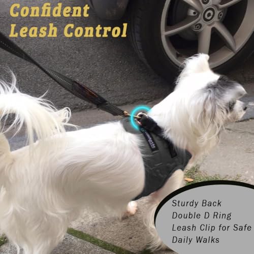 Comfort Fit Reflective Dog Harness, Soft Padded Easy Step-in Vest- Black, S - color: Reflective Black, size: S (Chest 12" - 15.5")
