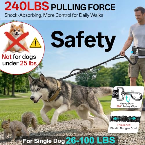 Hands Free Double Dog Leash for Two Dogs 240LB Heavy Duty Bungee