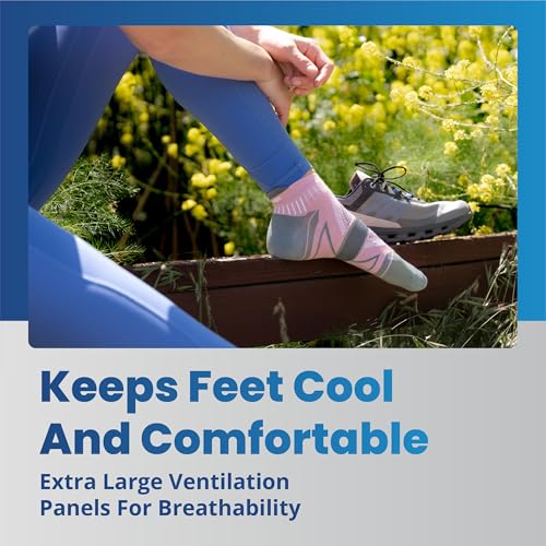 Balega Unisex Adult Hidden Dry Moisture Wicking Performance No Show Athletic Running Socks (1 Pair) - color: Lavender, size: Large