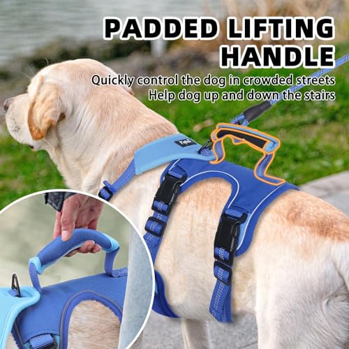 PUPTECK Escape Proof Dog Harness and Leash Set Upgraded No Pull Reflective Dog Vest with Lift Handle, Easy Control Pet Harness for Medium Large Dogs Training Walking Running, Blue, L - color: Blue/Sky, size: Large