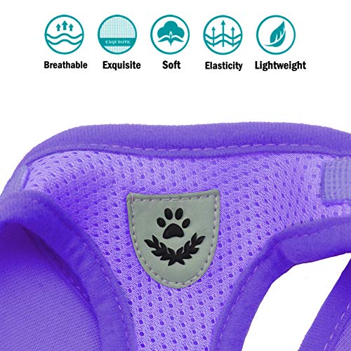 FEimaX Dog Harness and Leash Set for Walking, Soft Mesh Adjustable Easy Control Lightweight Cat Vest Harnesses with Reflective Strips, Escape Proof Small Dogs Cats Vests - color: Purple, size: X-Small