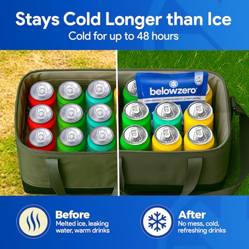 Below Zero Prefilled Reusable Ice Packs for Coolers | Long Lasting Freezer Ice Blocks for Camping, Lunch Bags & More | 48 Hour Cooler Ice Pack Technology - style: Small - 2pk (New Design)