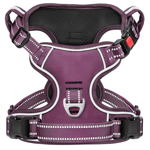 HEELE Harness Small Dog, No Pull No Choke Vest, Easy On & Off, Purple, S - color: Lock Purple, size: S (Pack of 1)
