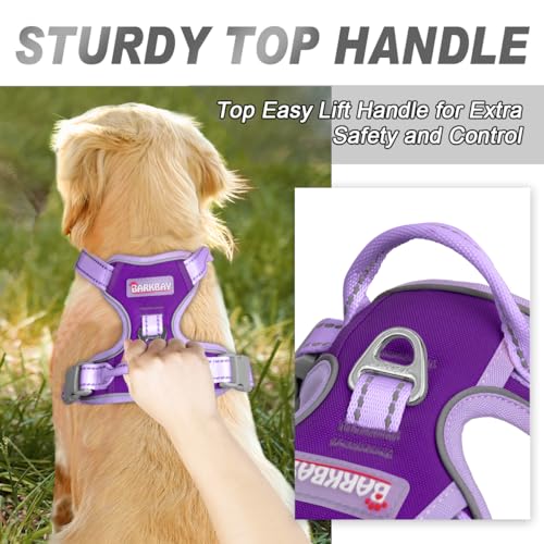BARKBAY Dog Harness No Pull for Small Sized Dog Front Back Clips,Dog Vest - color: Violet Purple & Purple, size: X-Small(Chest:15.5-19.5”)