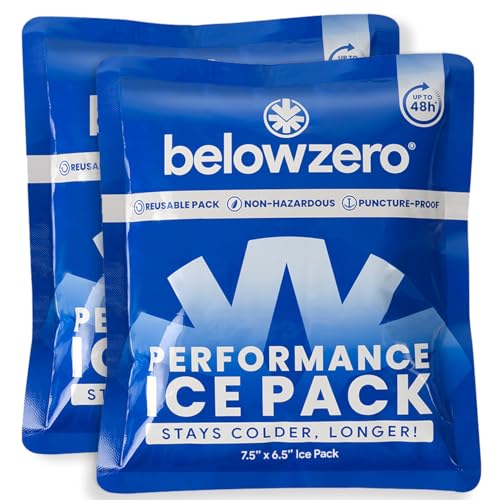 Below Zero Prefilled Reusable Ice Packs for Coolers | Long Lasting Freezer Ice Blocks for Camping, Lunch Bags & More | 48 Hour Cooler Ice Pack Technology - style: Small - 2pk (New Design)