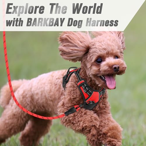 BARKBAY Dog Harness No Pull for Small Sized Dog Front Back Clips,Dog Vest - color: Red, size: X-Small(Chest:15.5-19.5”)