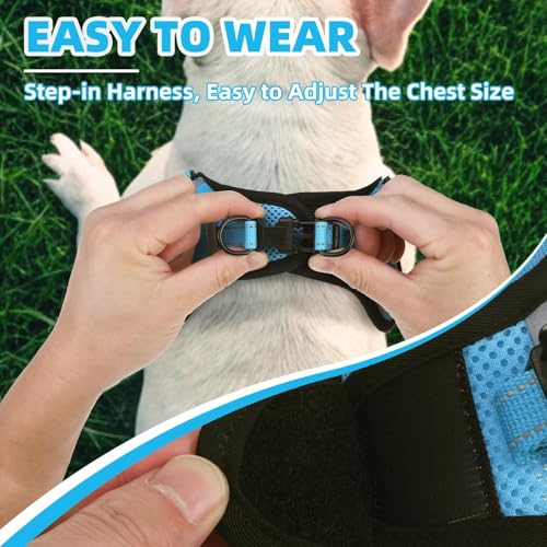 PUPTECK Dog Harness Small Sized Dog, Step in Adjustable Reflective Dog Vest Harness Escape Proof, No Pull Soft Padded Harness Easy Control, Blue, M - color: Blue, size: M (CHEST: 14.5"-20")
