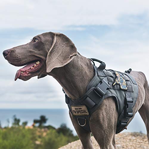 OneTigris Tactical Dog Harness Vest No-Pull Service Dog Vest for Small Dogs - color: Grey, size: XX-Small