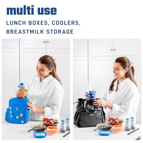 Fit & Fresh Cool Coolers Soft Ice Packs for Lunch Bags & Coolers, 2pk - color: Sports Balls (2 Pack)