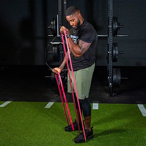 Serious Steel Fitness 32" Resistance Training Bands (Portable Exercise Band System Training Bands- Great for Individuals Under 5'10") - color: #2 Red (10-50 lbs.)
