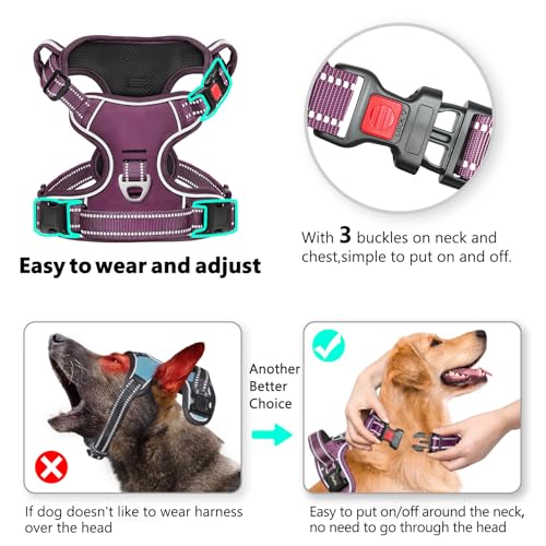 HEELE Harness Small Dog, No Pull No Choke Vest, Easy On & Off, Purple, S - color: Lock Purple, size: S (Pack of 1)