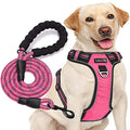 tobeDRI No Pull Dog Harness Adjustable Reflective Oxford Easy Control Medium Large Dog Harness with A Free Heavy Duty 5ft Dog Leash, Pink, S - color: Pink, size: Small