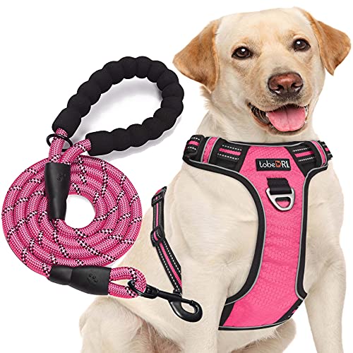 tobeDRI No Pull Dog Harness Adjustable Reflective Oxford Easy Control Medium Large Dog Harness with A Free Heavy Duty 5ft Dog Leash, Pink, S - color: Pink, size: Small