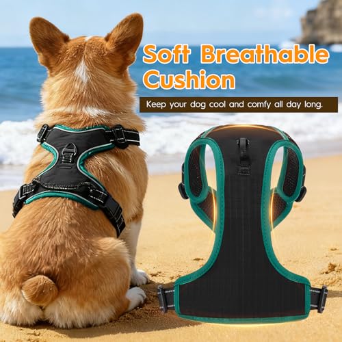 No Pull Dog Harness, No-Choke Soft Padded Reflective Dog Vest Harness with Front Clip & Top Handle, 2 Quick-Release Buckles, Adjustable for Small Medium Large Dogs - color: Black/Turquoise, size: X-Small