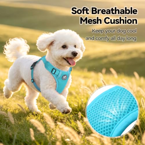PoyPet Mesh Dog Harness, Reflective Breathable Puppy Vest for Small Dogs - color: Blue, size: S