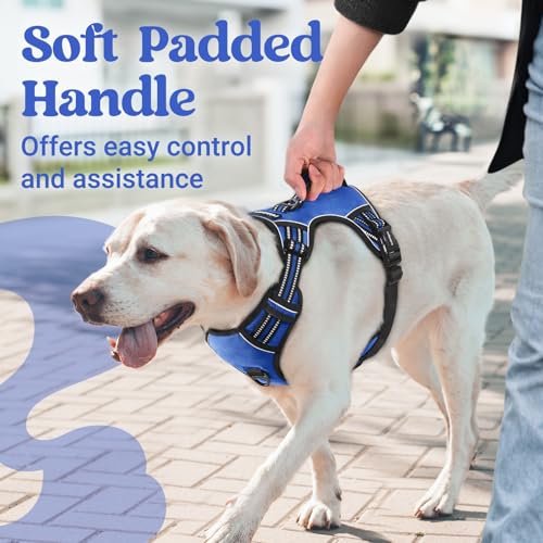 rabbitgoo Large Dog Harness, Easy Wear with 3 Buckles and Lift Handle - color: Blue, size: Medium