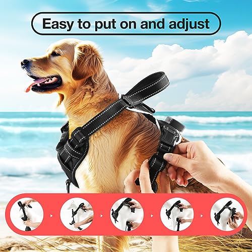 MASBRILL Light Up Dog Harness - No Pull Led Dog Harness Rechargeable Glow Vest for Night Walking Adjustable Sizes - color: Black-Red, size: L